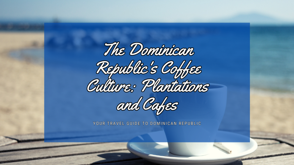 The Dominican Republic's Coffee Culture: From Plantations to Cozy Cafes