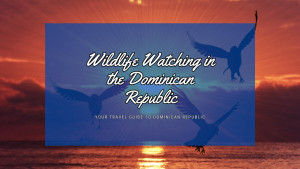 Wildlife Watching in the Dominican Republic: A Nature Lover's Paradise